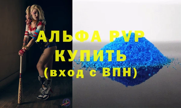 прущие грибы Переславль-Залесский