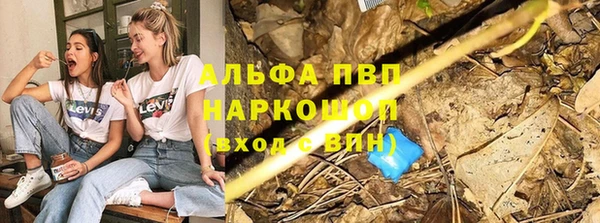 прущие грибы Переславль-Залесский