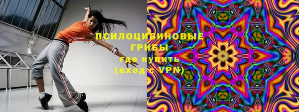 прущие грибы Переславль-Залесский