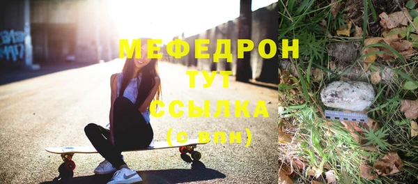 прущие грибы Переславль-Залесский