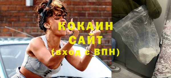 прущие грибы Переславль-Залесский