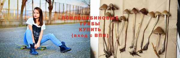 первитин Пестово