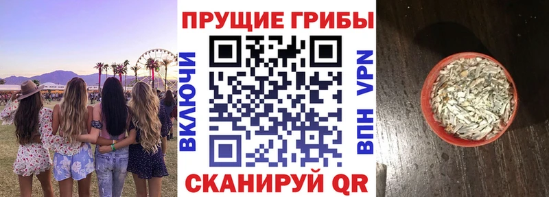 Галлюциногенные грибы Cubensis  MEGA маркетплейс  Руза 